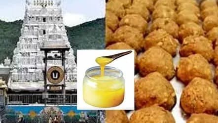 తిరుమల కల్తీ నెయ్యి వ్యవహారంపై ఏకసభ్య కమిషన్ గడువు పొడిగింపు.. నివేదికకు ఈ నెల 30 వరకు అవకాశం
