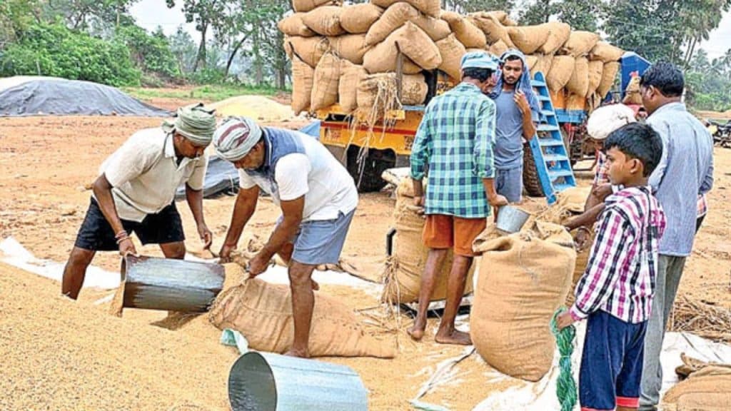 ఏపీలో రబీ ధాన్యం కొనుగోళ్లు వేగం… 1917 కేంద్రాల్లో ఏర్పాట్లు, 24 గంటల్లో రైతుల ఖాతాల్లో నగదు