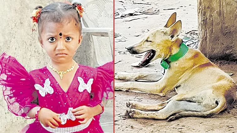 జ్ఞానేశ్వరి కేసులో కీలక ఆధారమైన కుక్క మృతి