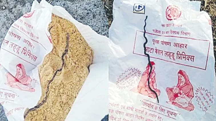 గర్భిణికి ఇచ్చిన పోషకాహార ప్యాకెట్‌లో పాము..