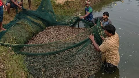 భీమవరంలో ఆక్వా రైతుల కీలక భేటీ..