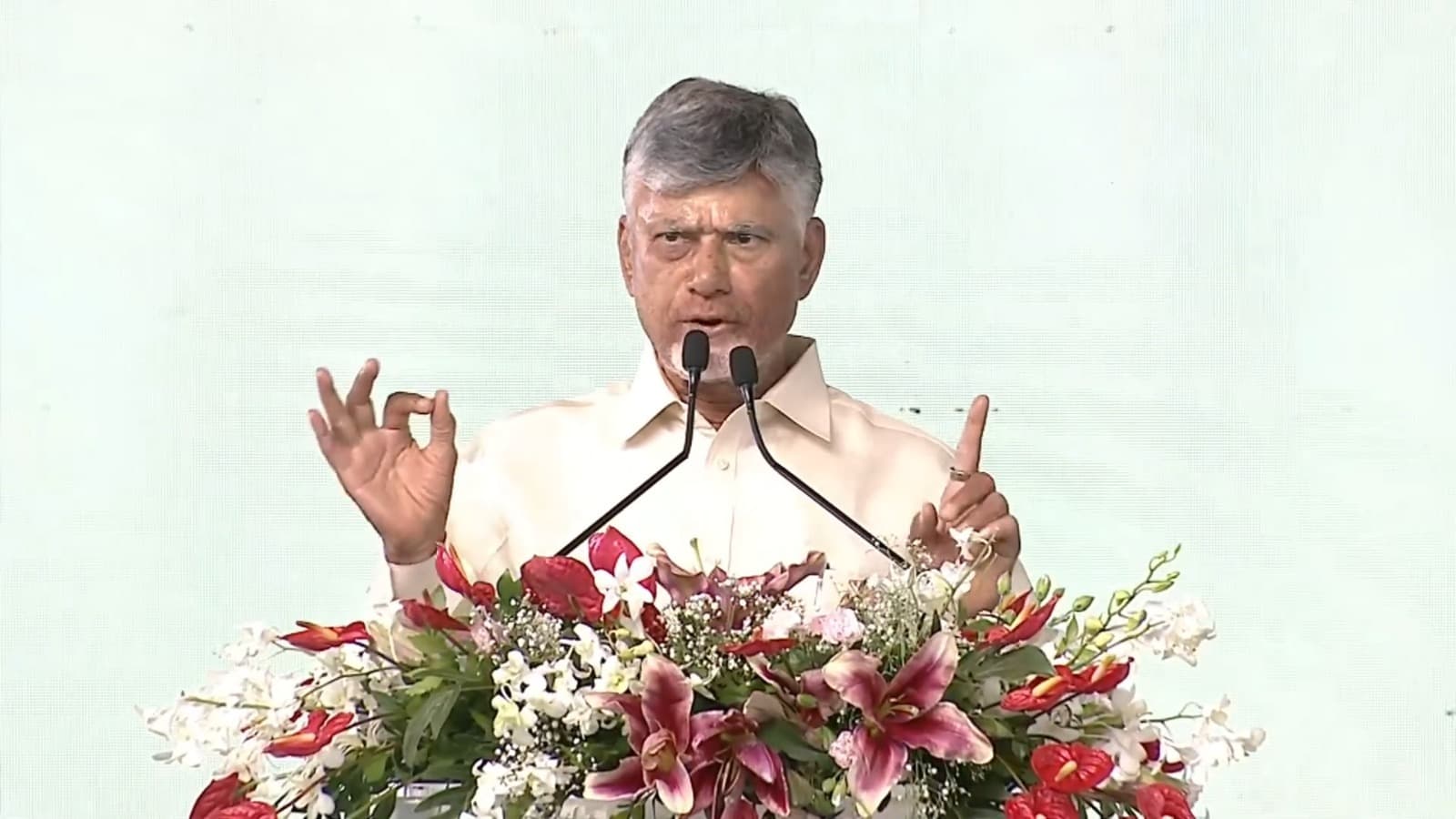 గొడ్డలి పార్టీకి విధ్వంసమే లక్ష్యం: సీఎం చంద్రబాబు 