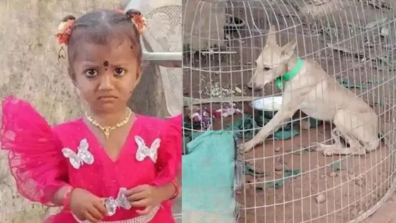 కాకినాడ చిన్నారి జ్ఞానేశ్వరి కేసు.. కుక్క పోస్టుమార్టం రిపోర్టు 
