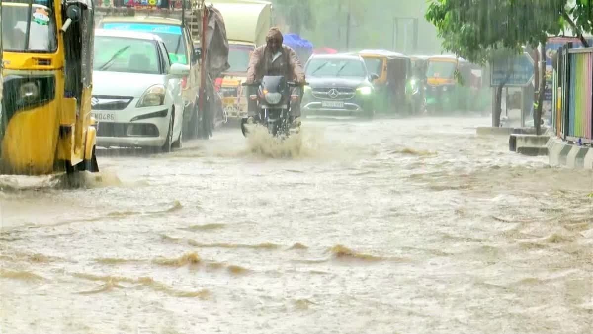 తెలంగాణలో 7 రోజుల భారీ వర్షాలు.. హైదరాబాద్‌కు ఎల్లో అలర్ట్