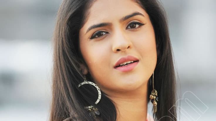 ప్రభాస్ హీరోయిన్ దీక్షా సేత్ కొత్త కెరీర్.. ఇప్పుడు సాఫ్ట్‌వేర్ రంగంలో