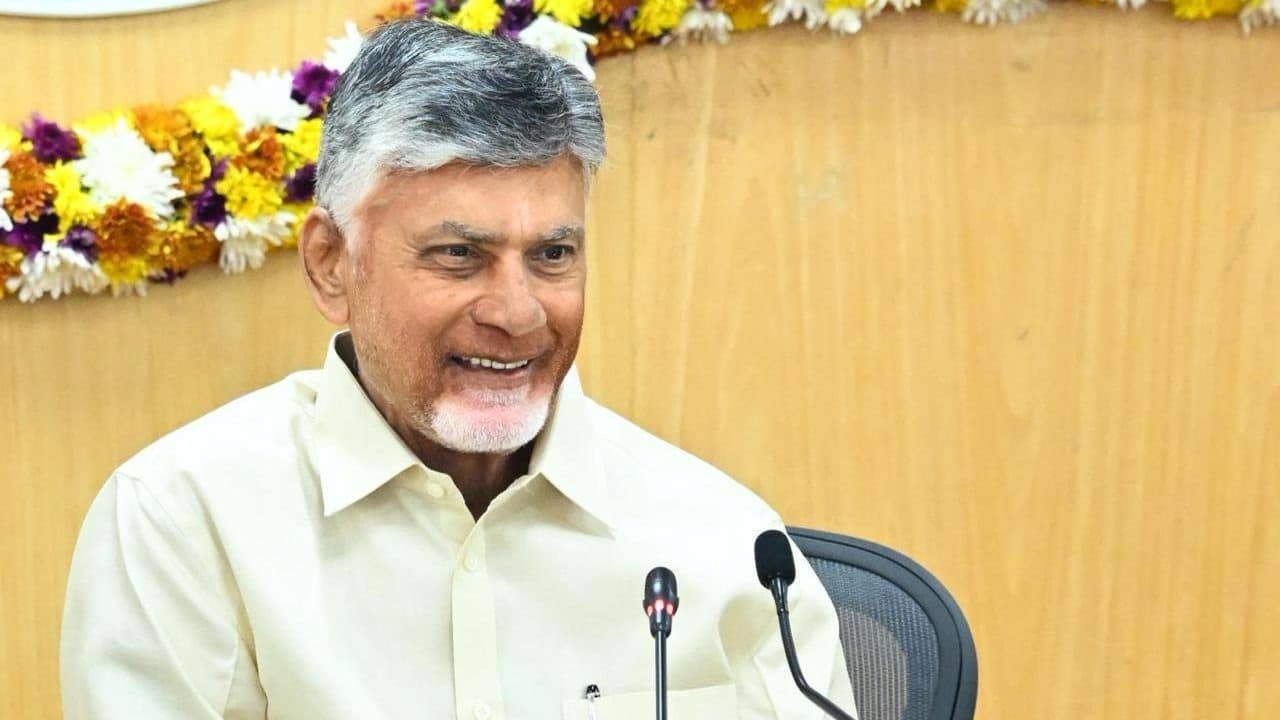 టీడీపీ నేతలతో సీఎం చంద్రబాబు వీడియో కాన్ఫరెన్స్