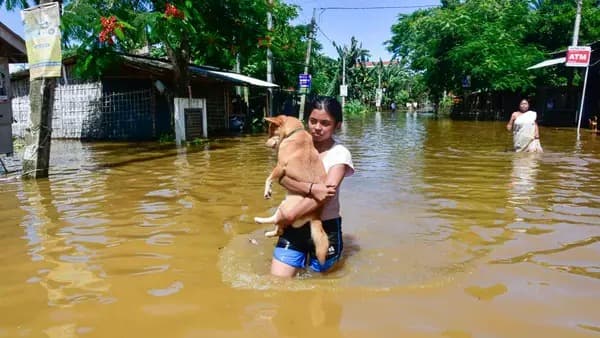 అస్సాంలో వరద బీభత్సం: 24 గంటల్లో 21 మంది మృతి
