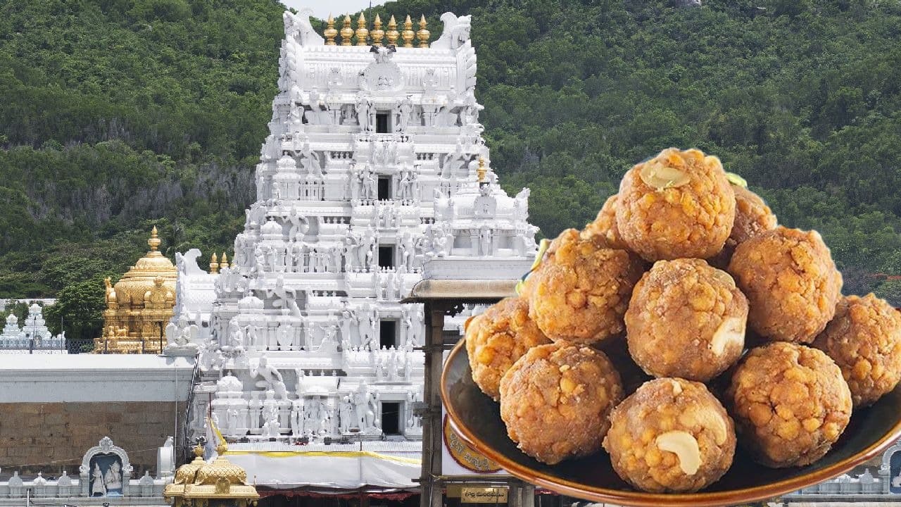 తిరుమల లడ్డూ నెయ్యి కల్తీ కేసులో కీలక చర్యలు