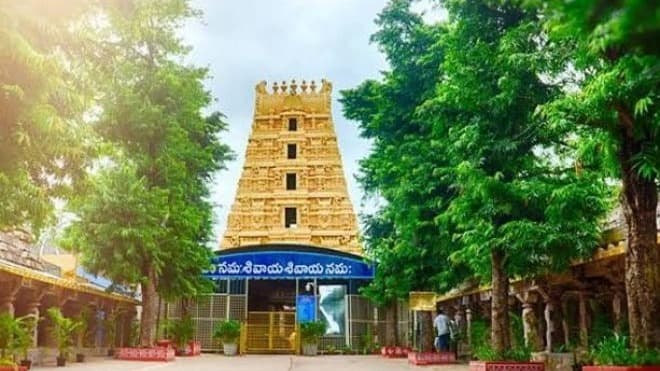 శ్రీశైలంలో శ్రావణ మాసోత్సవాలు..
