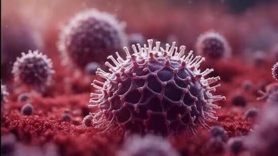 గుజరాత్‌లో చండీపుర వైరస్ కలకలం..