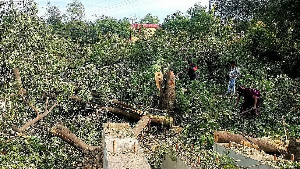 భోపాల్‌లో చెట్ల నరికివేతపై రగిలిన పర్యావరణ వివాదం