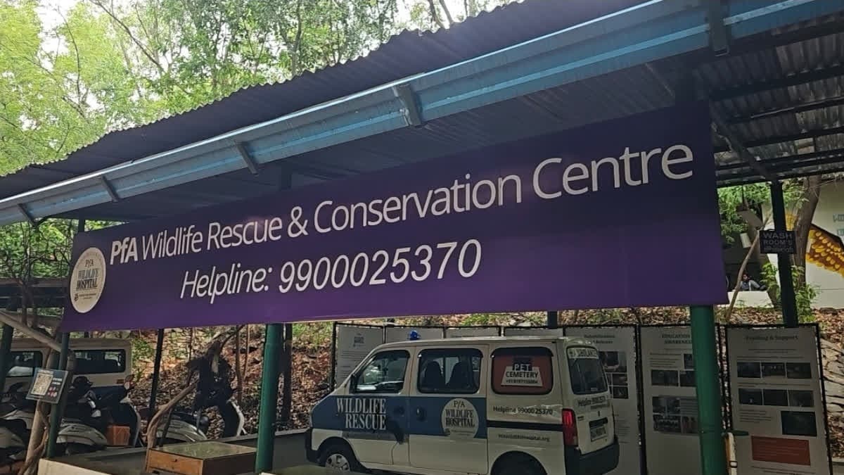 కర్ణాటకలో 52 వేల వన్యప్రాణులకు పునర్జన్మ..