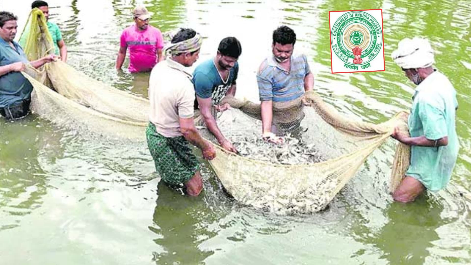 ఆక్వా రైతులకు ఏపీ ప్రభుత్వం శుభవార్త..