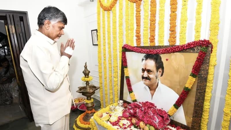 హరికృష్ణకు చంద్రబాబు ఘన నివాళి