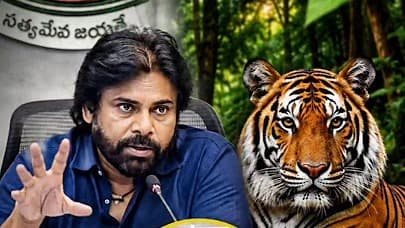 కాకినాడలో పులి సంచారంపై పవన్ కళ్యాణ్ కీలక ఆదేశాలు
